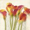 Histoires de Callas (detail) by Luca Villa 24" x 24" Canvas Wall Art